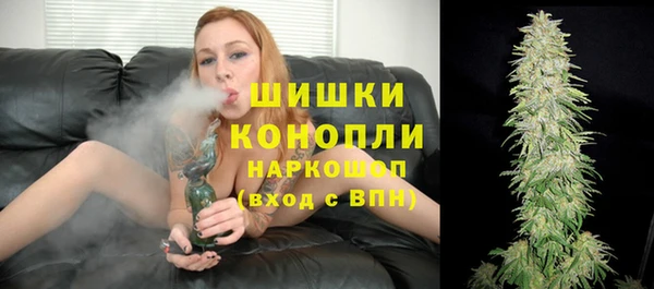 шишки Вязьма