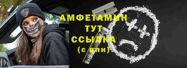стафф Вяземский