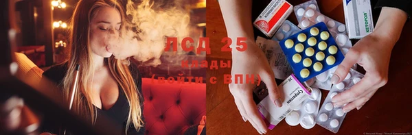 стафф Вяземский