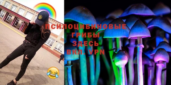 шишки Вязьма