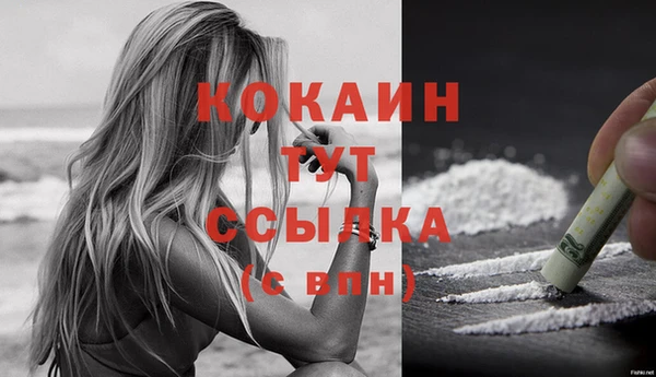 шишки Вязьма